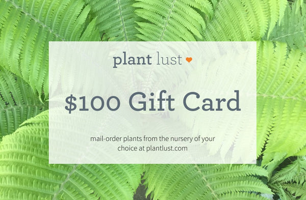 plantlust.com e-Gift Card