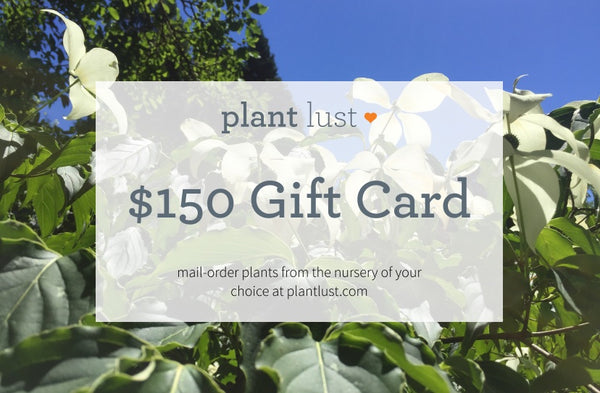plantlust.com e-Gift Card
