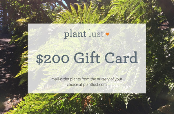 plantlust.com e-Gift Card