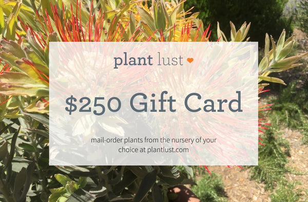 plantlust.com e-Gift Card