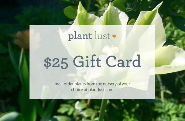 plantlust.com e-Gift Card