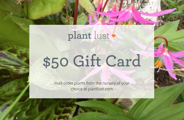 plantlust.com e-Gift Card