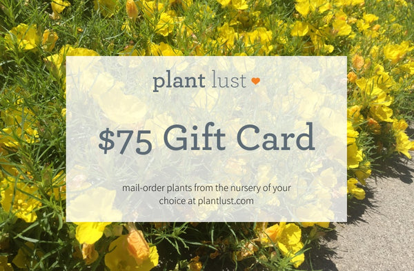 plantlust.com e-Gift Card